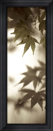Framed Florison 97 Print