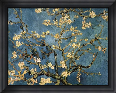 Framed Blossoming Almond Tree, Saint-Remy, c.1890 Print