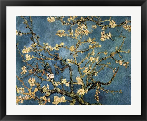 Framed Blossoming Almond Tree, Saint-Remy, c.1890 Print