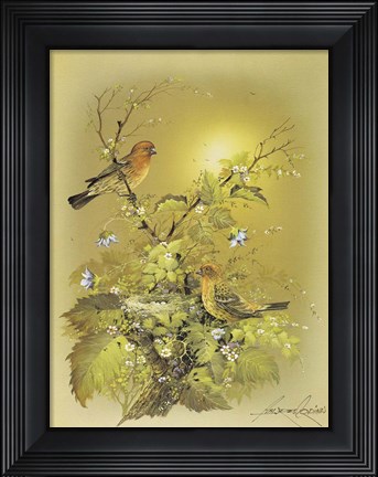 Framed Bird Print
