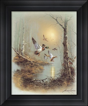 Framed Ducks A Print