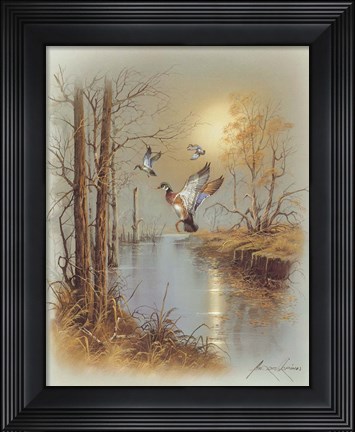 Framed Ducks B Print