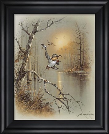 Framed Ducks C Print