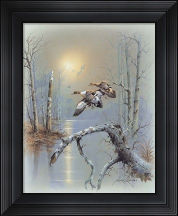Framed Ducks D Print