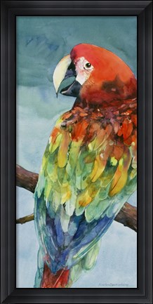 Framed Parrot Print