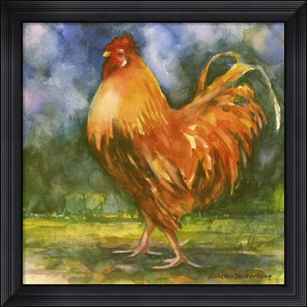 Framed Rooster Field Print