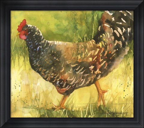 Framed Wyandotte Hen Print