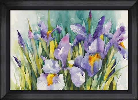 Framed Purple Irises Print