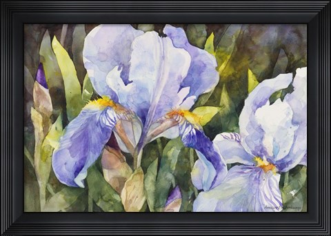Framed Purple Iris Closeup Print