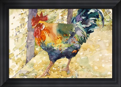 Framed Colorful Rooster Print