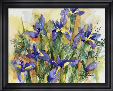 Framed Indelible Irises Print