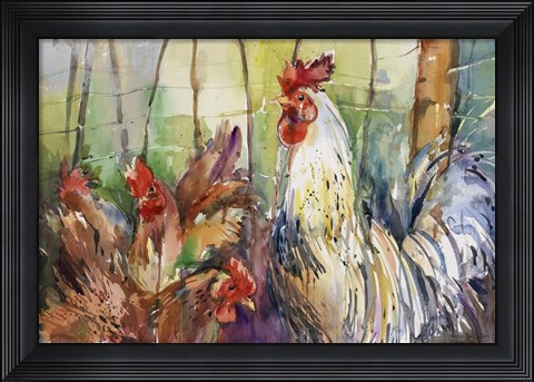 Framed Head Of The Roost Print