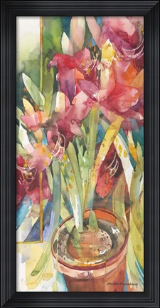 Framed Architectural Amaryllis Print