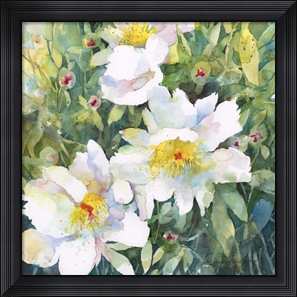Framed Pristine Peonies Print