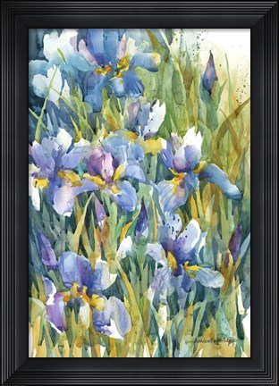 Framed Summer Heralds Print