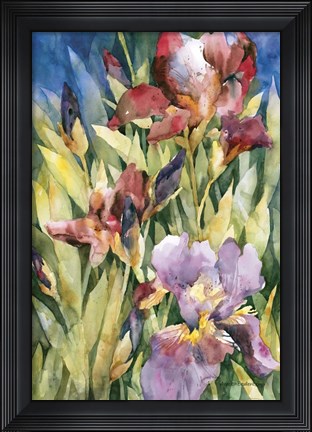 Framed Unfurling Print