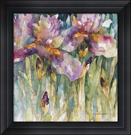 Framed Siberian Iris Print
