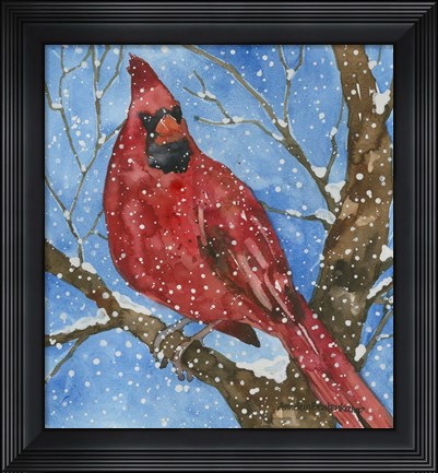 Framed Snowbird Print