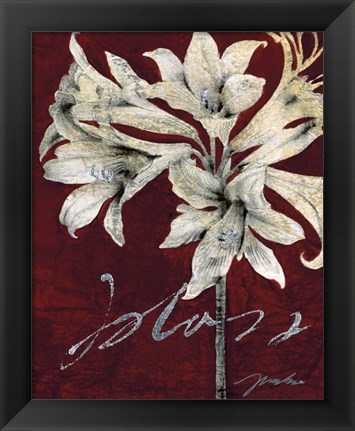 Framed Cabernet Blossoms II Print