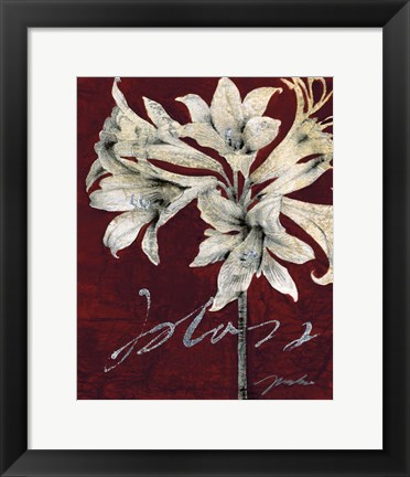 Framed Cabernet Blossoms II Print