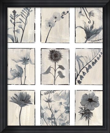 Framed Silk Botanicals Print