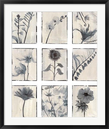 Framed Silk Botanicals Print