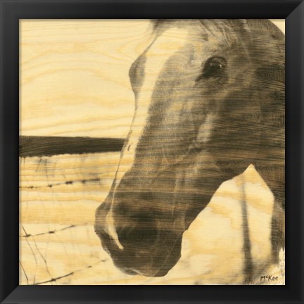 Framed Portrait of a Horse Print