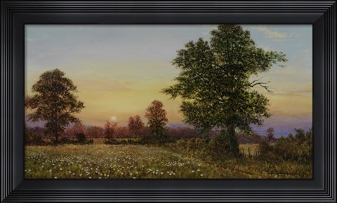 Framed Evening Daisies Print