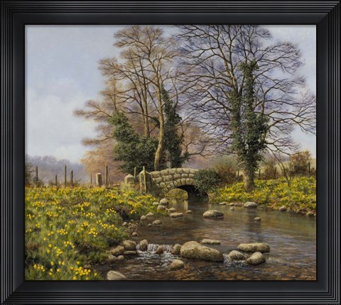 Framed Daffodil Bridge Print