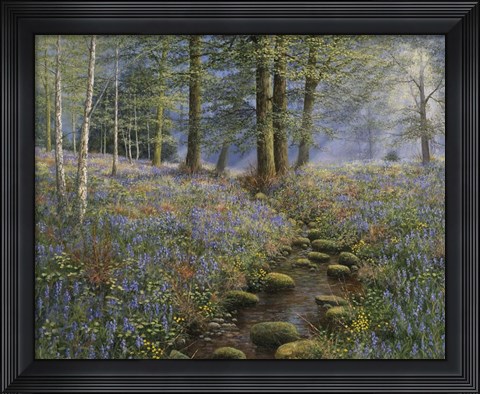 Framed Bluebell Wood Print