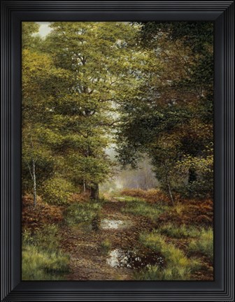 Framed Woodland In The Fall Print