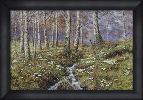 Framed Snowdrop Dell Print