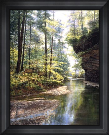 Framed Quiet Forest Print
