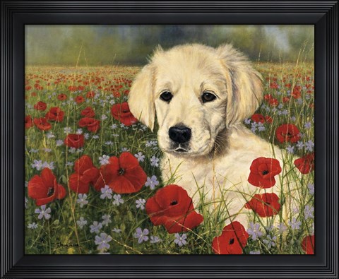 Framed Puppy And Poppies Print