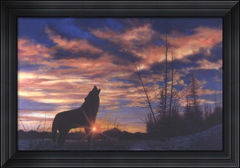 Framed Sky Wolf Print