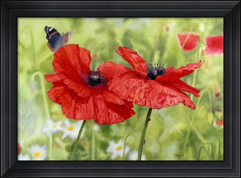 Framed Poppies And Butterfly Print