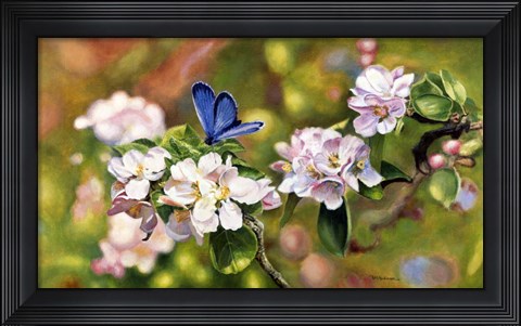 Framed Blue On Pink Print