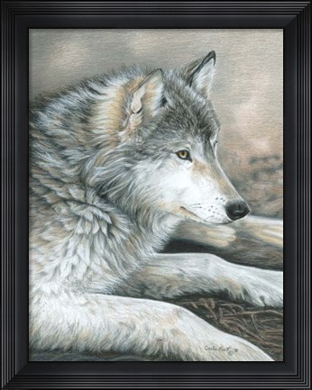 Framed Calm Wolf Print