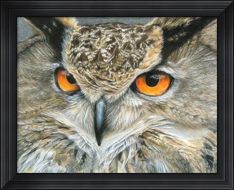 Framed Orange-Eyed Owl Print