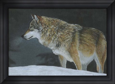 Framed Cold Winters Night Print