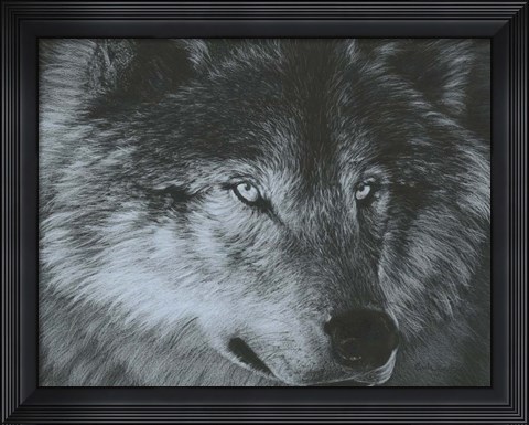 Framed Dark Wolf Print