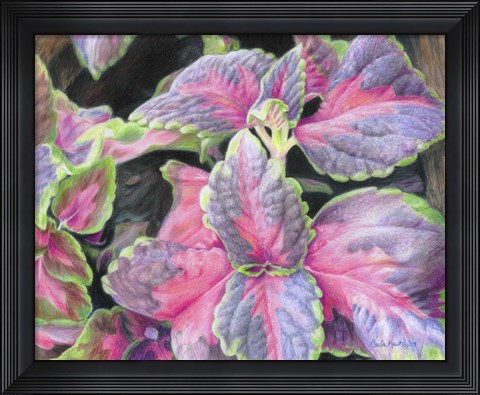 Framed Purple Flowering Plant Print
