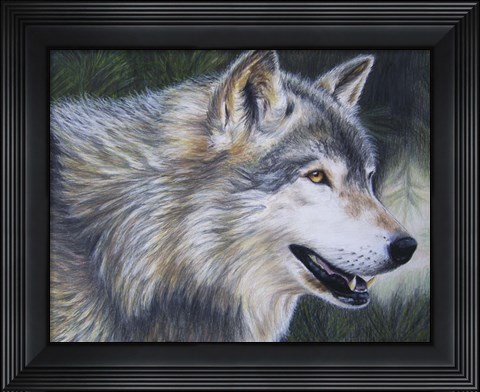 Framed Timber Wolf Dark Print
