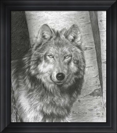 Framed Wise Eyes Print