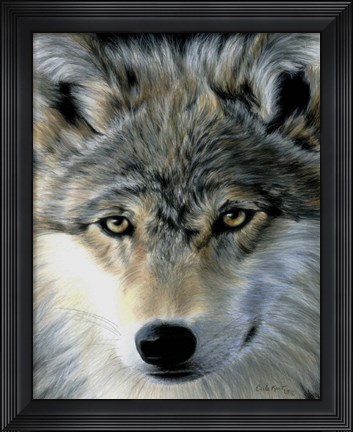 Framed Young Wolf Print