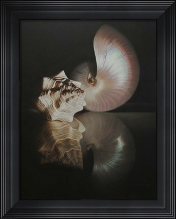 Framed Pearl Nautilus Print