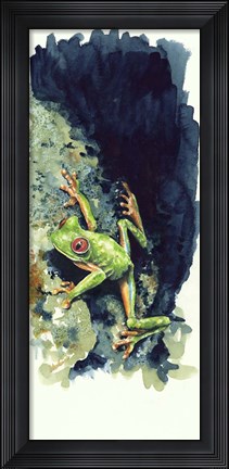 Framed Costa Rican Frog Print