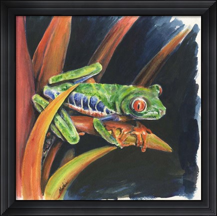 Framed Costa Rican Leaping Frog Print