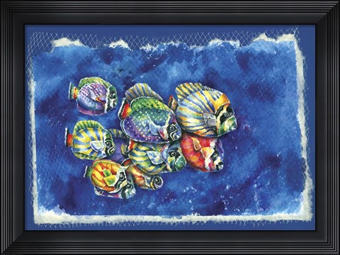 Framed Fish In Net Print