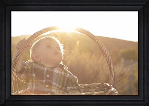 Framed Basket Burst Print